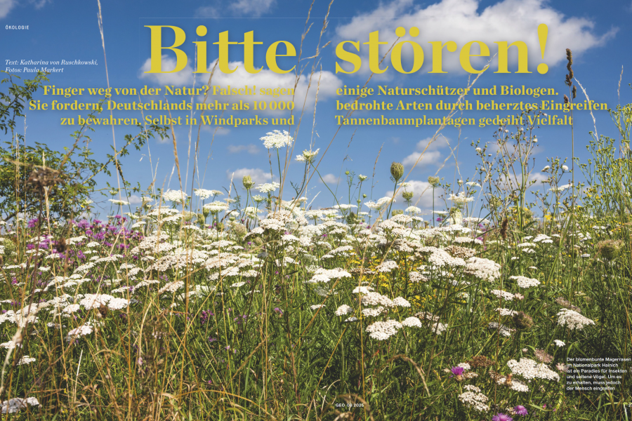 GEO 8/2025 - Bitte stören! - Artikel von Katharina von Rsuchkowski