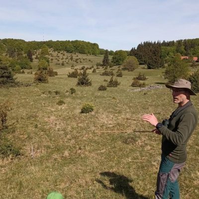 Fachexkursion „Vogelschutz bei der Beweidung von Wacholderheiden“