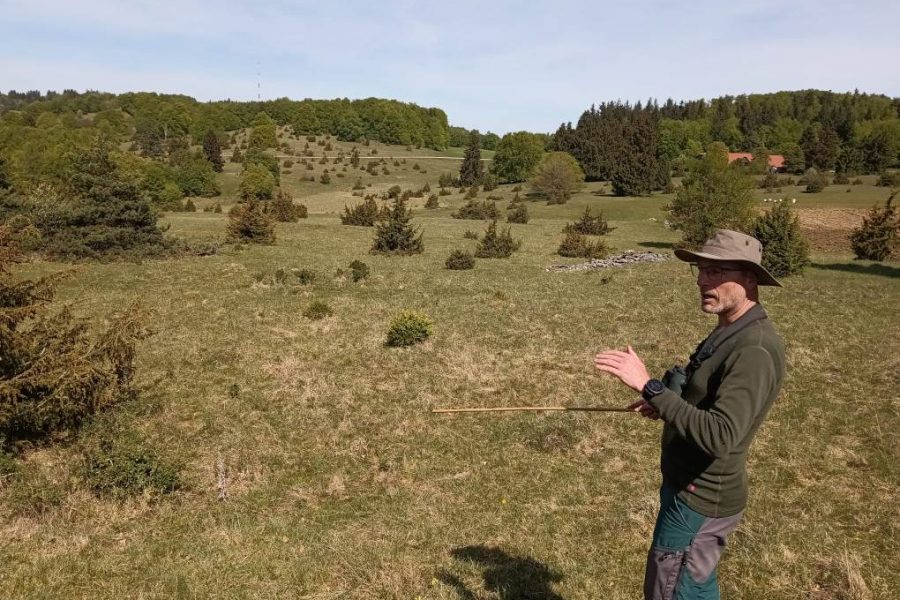 Fachexkursion „Vogelschutz bei der Beweidung von Wacholderheiden“